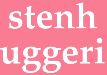 Synonym stenhuggeri