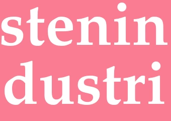 Synonym stenindustri