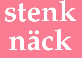 Synonym stenknäck