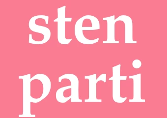 Synonym stenparti