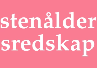Synonym stenåldersredskap