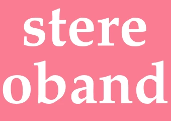 Synonym stereoband