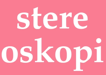 Synonym stereoskopi