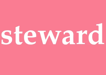 Synonym steward