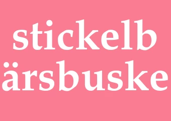 Synonym stickelbärsbuske