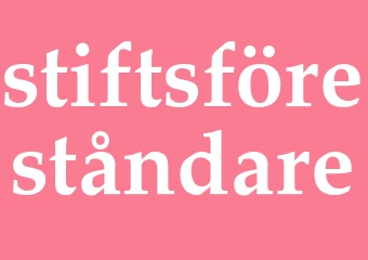 Synonym stiftsföreståndare
