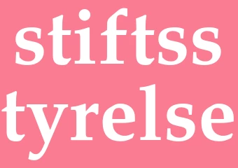 Synonym stiftsstyrelse
