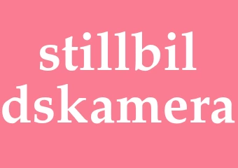 Synonym stillbildskamera