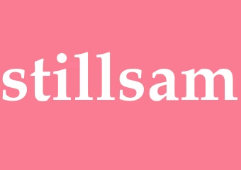 Synonym stillsam