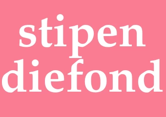 Synonym stipendiefond