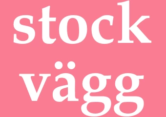 Synonym stockvägg