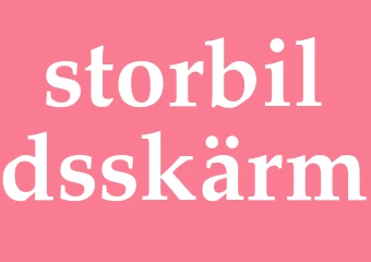 Synonym storbildsskärm