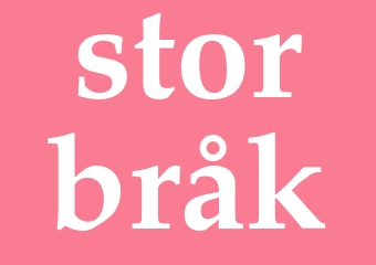 Synonym storbråk