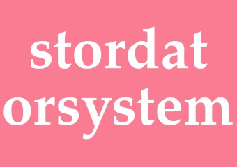 Synonym stordatorsystem
