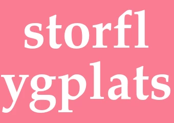 Synonym storflygplats