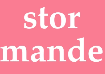 Synonym stormande