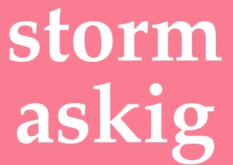 Synonym stormaskig