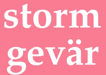 Synonym stormgevär