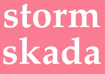Synonym stormskada