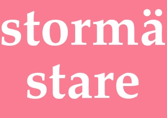 Synonym stormästare