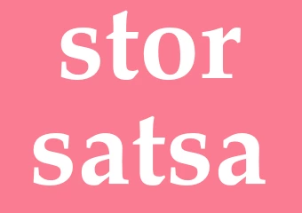 Synonym storsatsa