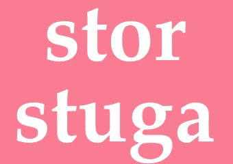 Synonym storstuga