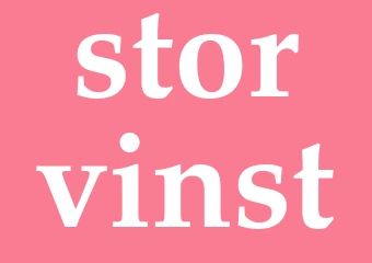 Synonym storvinst