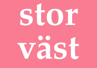 Synonym storväst