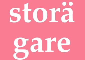Synonym storägare