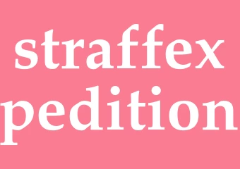 Synonym straffexpedition