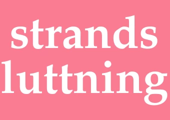 Synonym strandsluttning