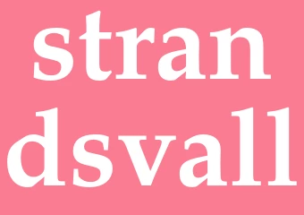 Synonym strandsvall