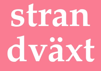 Synonym strandväxt