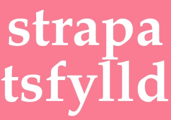 Synonym strapatsfylld