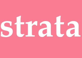 Synonym strata