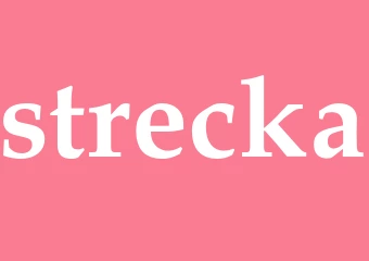 Synonym strecka