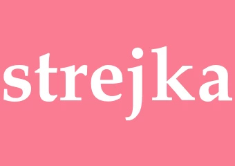 Synonym strejka
