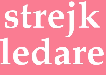 Synonym strejkledare