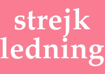 Synonym strejkledning
