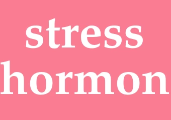 Synonym stresshormon