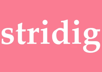 Synonym stridig