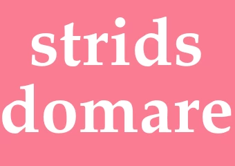 Synonym stridsdomare