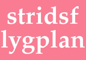 Synonym stridsflygplan