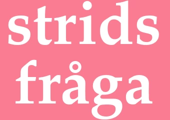 Synonym stridsfråga