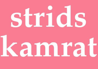 Synonym stridskamrat