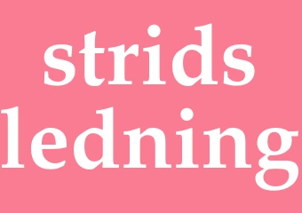 Synonym stridsledning
