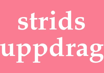 Synonym stridsuppdrag