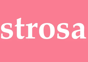 Synonym strosa