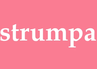 Synonym strumpa