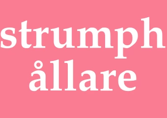 Synonym strumphållare